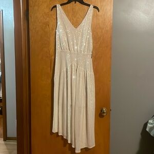 Express sequins dress